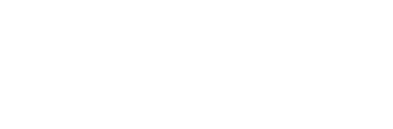 Wide Services